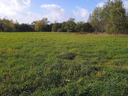 vente terrain 996 m² saint-ciers-sur-gironde (33820)