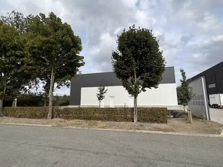 surface industrielle à louer à schoorstraat 20e maaseik (rbw17284)