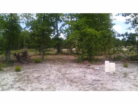 vente terrain 800 m² le tuzan (33125)