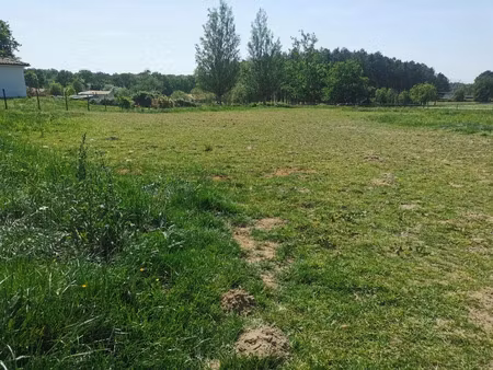 vente terrain 1230 m² coimères (33210)