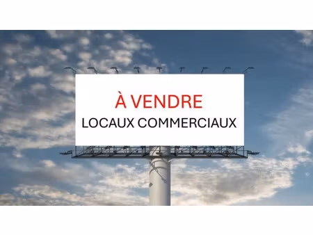 vente local commercial 4000m2 perpignan 66000 - 4576000 € - surface privée