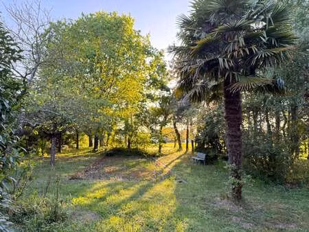vente terrain au lion-d'angers (49220) : à vendre / 2000m² le lion-d'angers