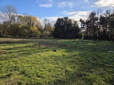 vente terrain à ménil (53200) : à vendre / 3401m² ménil