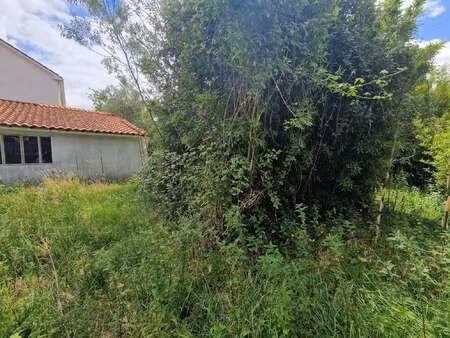 vente terrain à rezé (44400) : à vendre / 380m² rezé