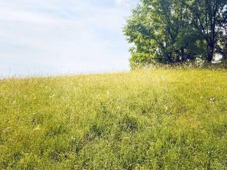 vente terrain à sénergues (12320) : à vendre / 3770m² sénergues