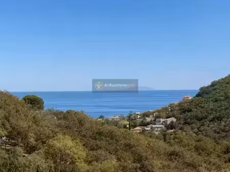 vente maison 6 pièces 140 m² à santa-maria-di-lota (20200)  430 000 €