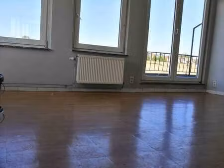 appartement lumineux 1 ch. - rénové & cuisine neuve