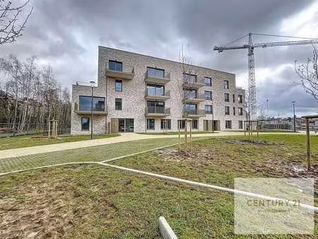 (saint-roch) appartement 2024 1 chambre + cave
