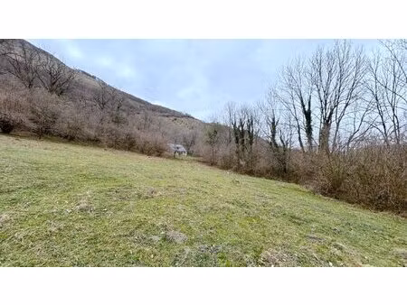 a vendre ancienne grange de 120 m2 sur 15000 m2 de terrain - secteur salles - argeles...