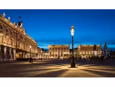 vente terrain 924 m² à nancy (54000)  350 000 €