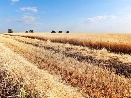 terrain à vendre à merbes-le-château € 119.500 (lp0yw) - comptoir foncier | zimmo