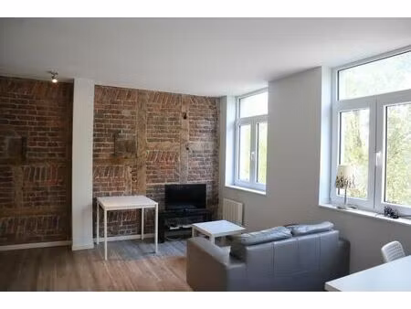 a voir !! superbe appartement 2 chambres au bord de la meuse