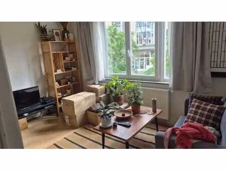 appartement 1 chambre lumineux etterbeek - avenue hansen-sou