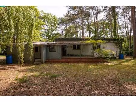terrein de 19 ares avec bungalow au vert