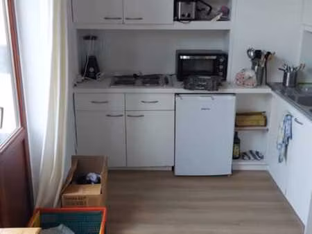 flat lumineux avec cuisine équipée et mezzanine