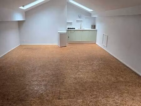grand studio tres lumineux au calme pour un(e) etudiant(e)