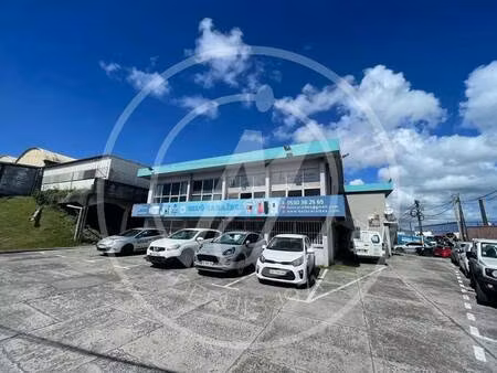 sn agence molinard immobilier
