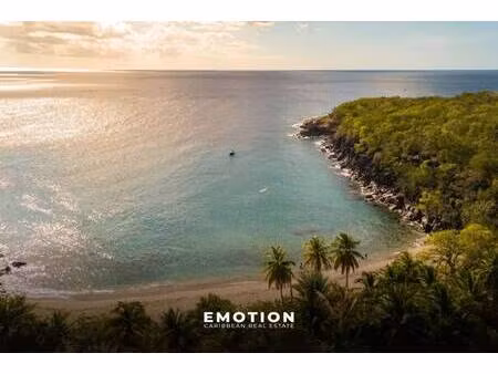 emotion real estate guadeloupe