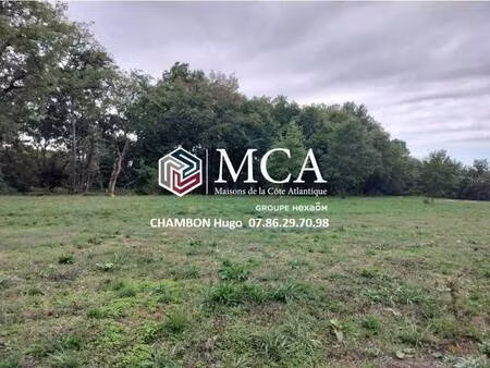 terrain constructible viabilisé à vendre