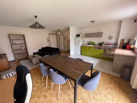 location appartement 2 pièces 51 m² à villeurbanne (69100)