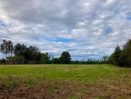 vente terrain à la meilleraye-de-bretagne (44520) : à vendre / la meilleraye-de-bretagne