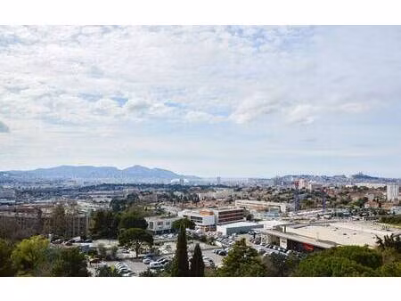reina immobilier