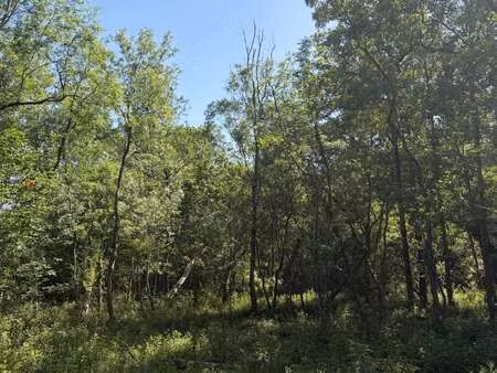 vente terrain à challans (85300) : à vendre / challans