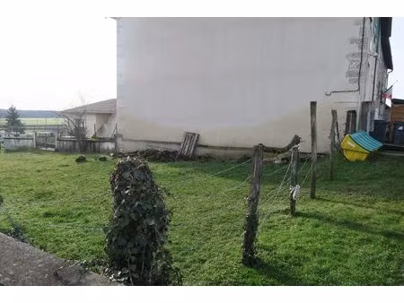 terrain