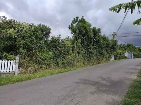 terrain constructible de 600m² a vendre à deux rives ste suzanne