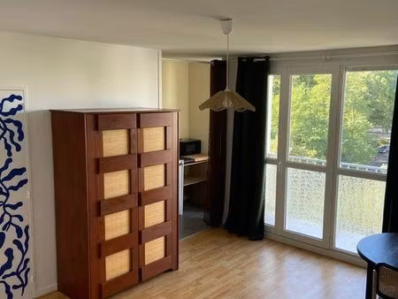 location studio lumineux à montjoyeux
