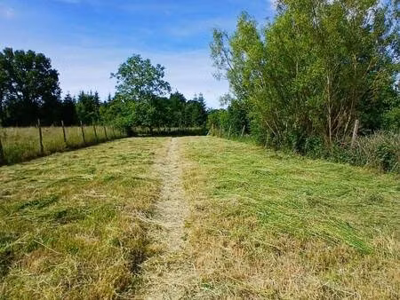 terrain à vendre