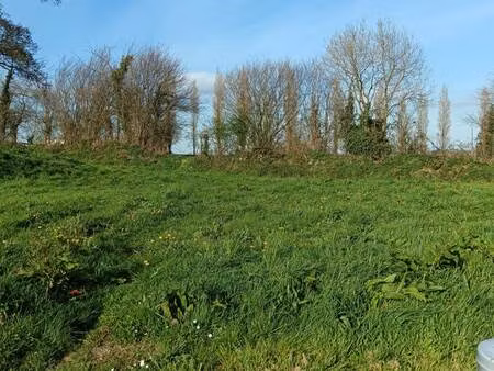terrain constructible viabilisé à vendre
