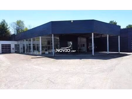 novio h&p