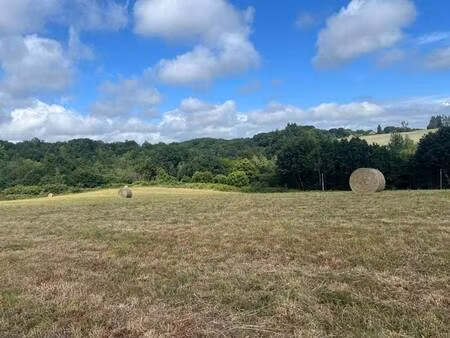 terrain constructible viabilisé à vendre