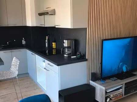 appartement 1 pièce 30 m2 centre ville