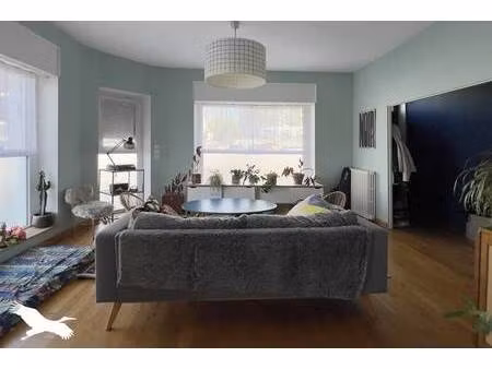 human immobilier limoges carnot