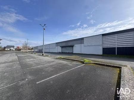 iad france léa lamarche