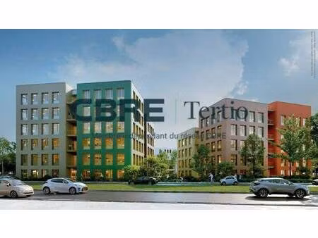 tertio