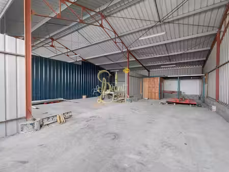saint-louis immobilier