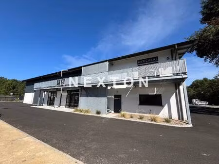 nexton immobilier