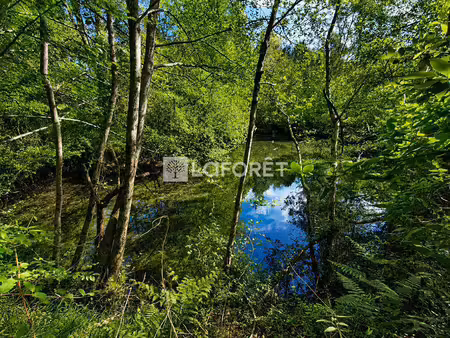 terrain à vendre