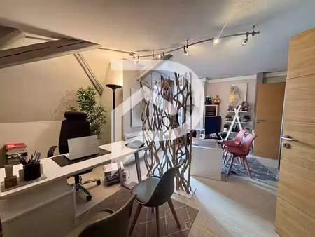 stephane plaza immobilier colmar-sud