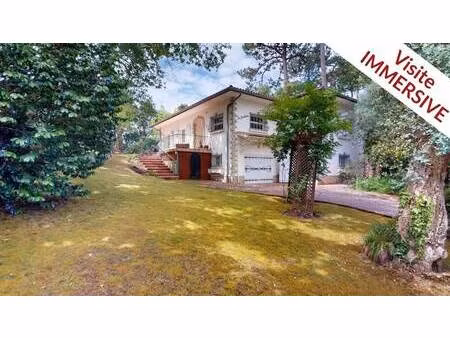 mone rosine immobilier