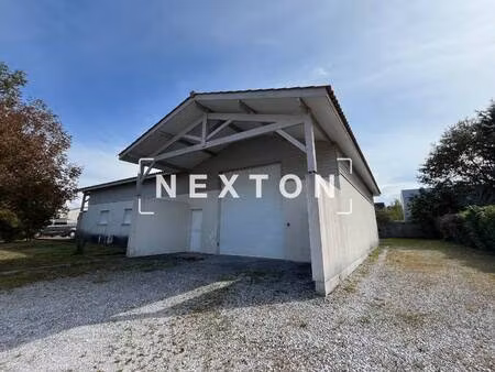 nexton immobilier