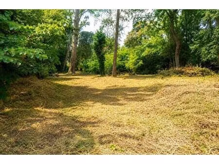 terrain constructible à vendre