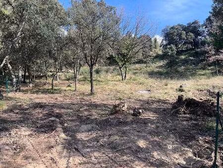 terrain à vendre