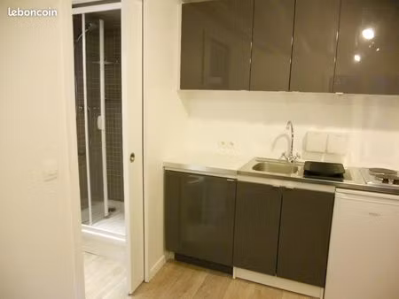 studio meuble cuisine equipée + lave linge + lit double et tv