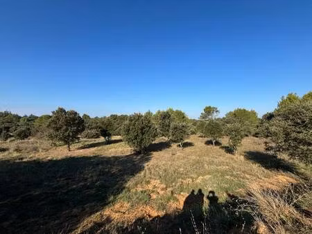 terrain à vendre