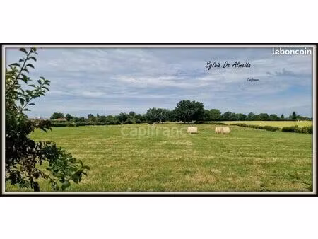 terrain 2 493 m² bereziat