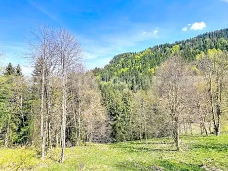 immo proléman